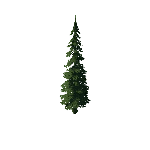 Pine_Tree_3A