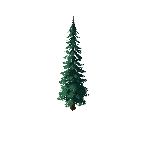 Pine_Tree_3D