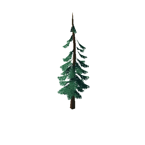 Pine_Tree_3E