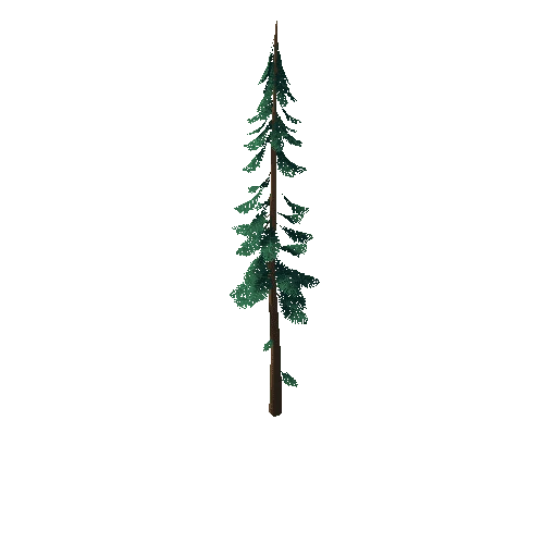 Pine_Tree_3F