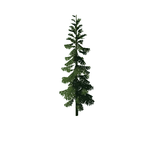 Pine_Tree_3G