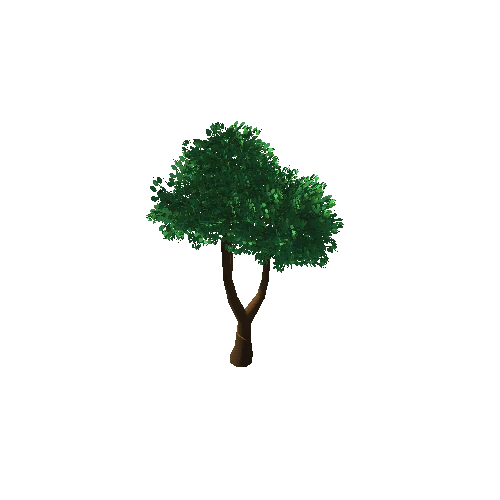 Tree_1A