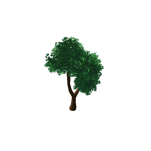 Tree_1B