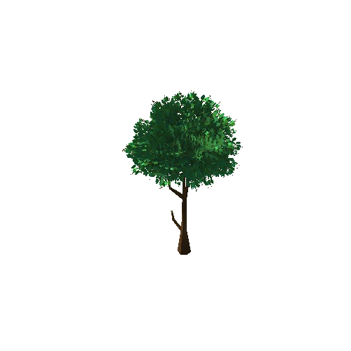 Tree_1E