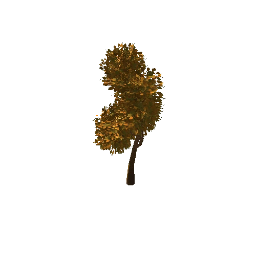 Tree_2D