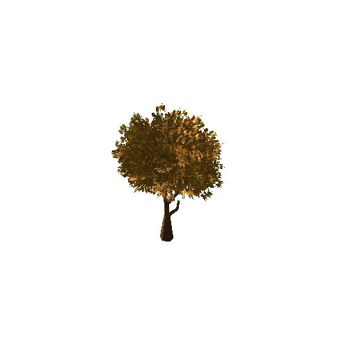 Tree_2F