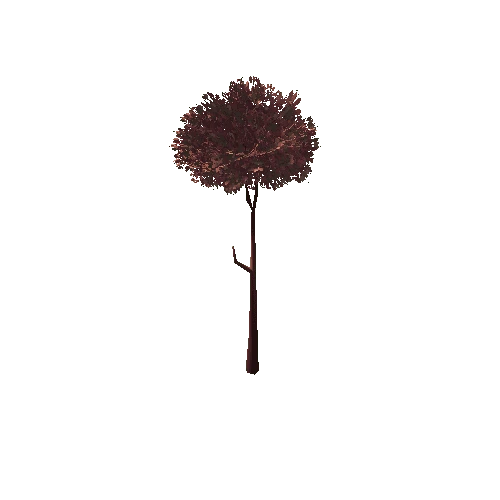 Tree_3C