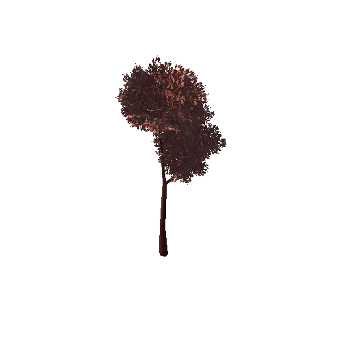 Tree_3D