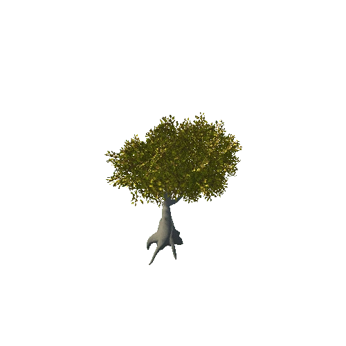 Tree_5C