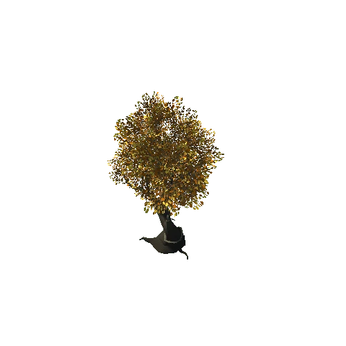 Tree_6C