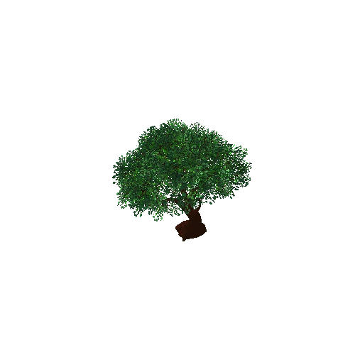 Tree_7C