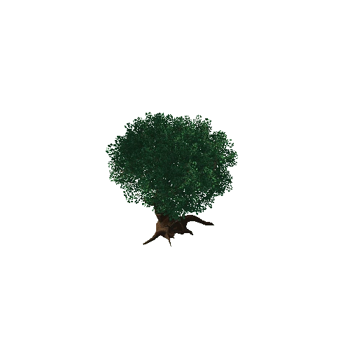 Tree_8D