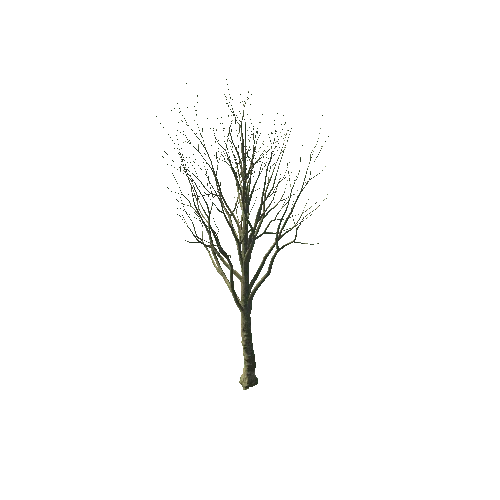 Old_tree_4_16036tris