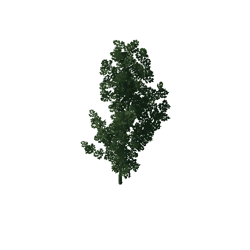 TreeOak01