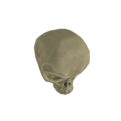 Stylized_Skull_Unlit