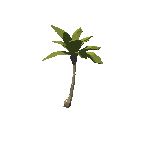 egypt_palm_tree_optimized