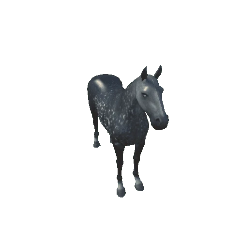 horse116