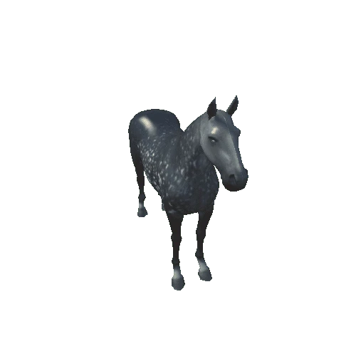 horse50