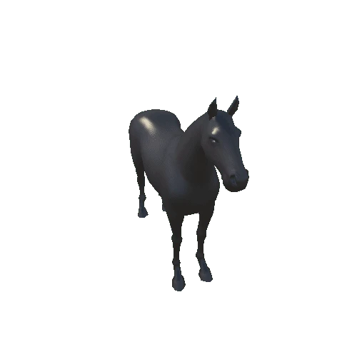 horse93