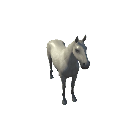 horse95