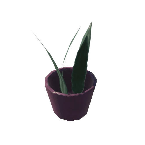 Vase_A_with_Plant