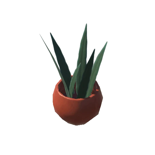 Vase_B_with_Plant