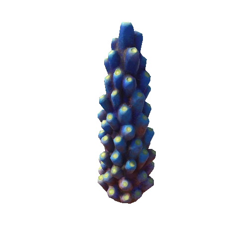 Coral2_1