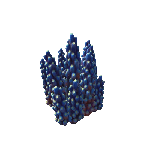 Coral2_G3