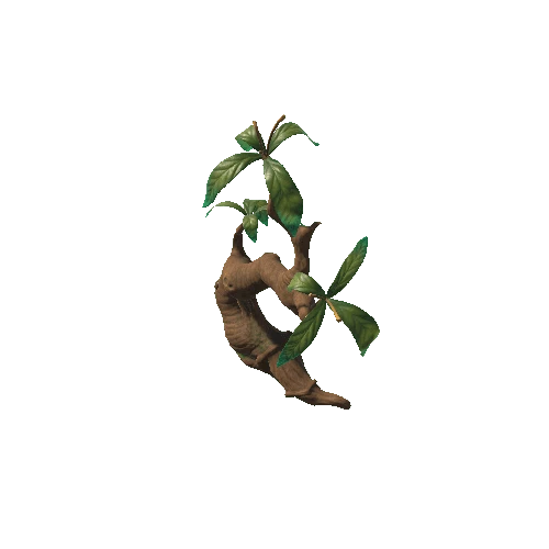 FantasyPlant1