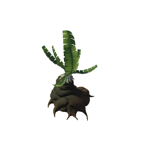 FantasyPlant42