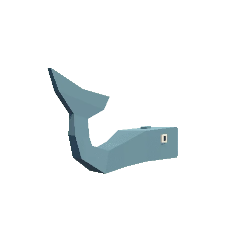 Whale