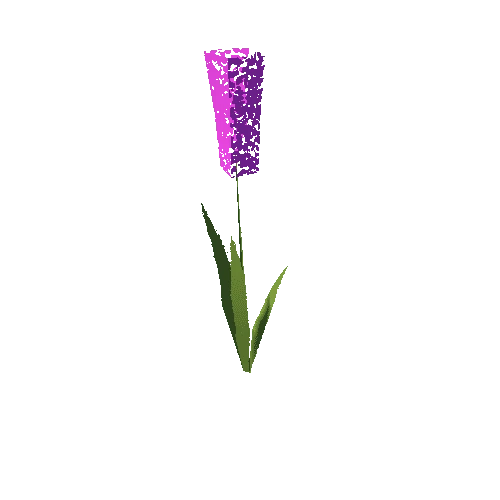 IL3DN_Plant_Flower_02