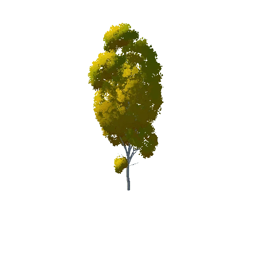 IL3DN_Tree_Birch_03_OneMesh