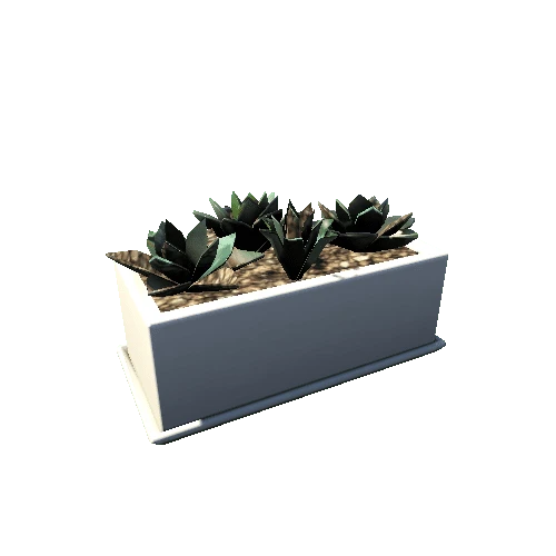 Succulent_Planter_Ceramic