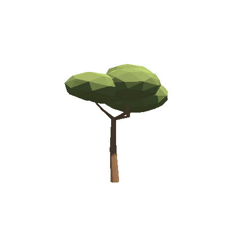 Tree_05