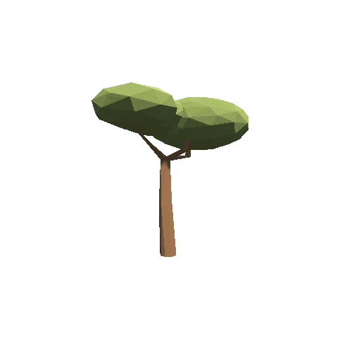 Tree_06