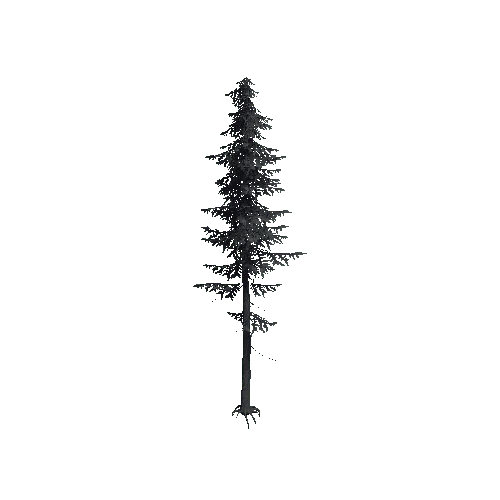 ConiferTreeBig02