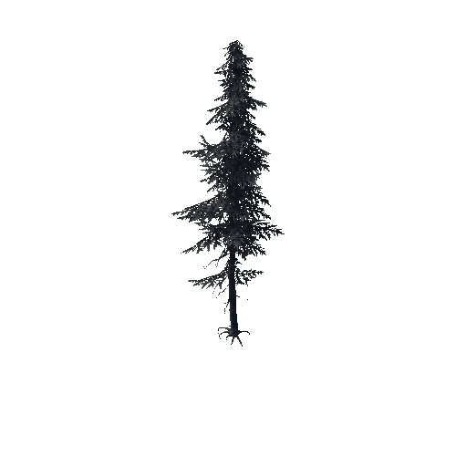 ConiferTreeBig02LOD0