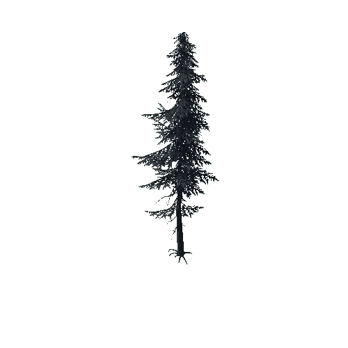 ConiferTreeBig02LOD1