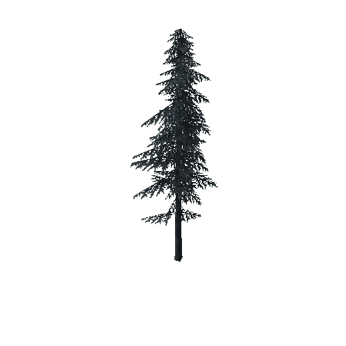 ConiferTreeBig02LOD2