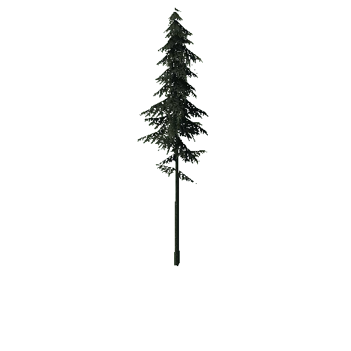 ConiferTreeBig03LOD3