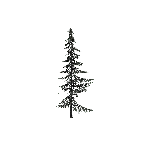 ConiferTreeSmall01LOD1