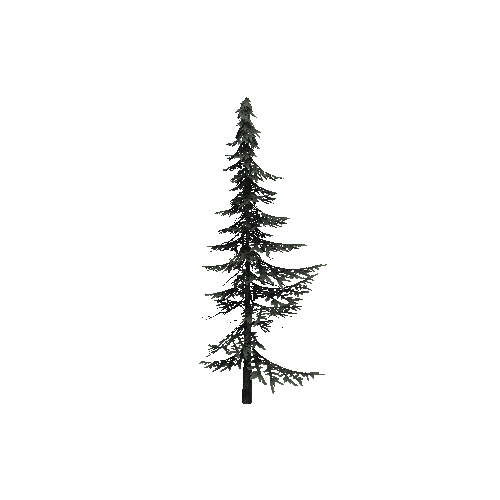 ConiferTreeSmall01_Optimized