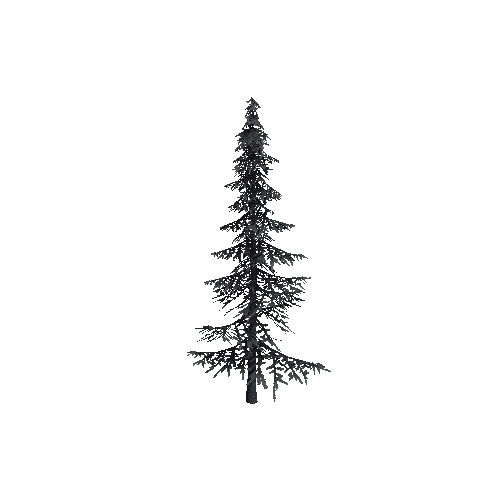 ConiferTreeSmall02