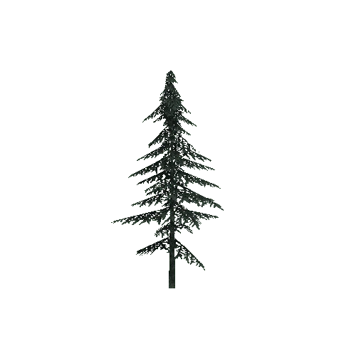 ConiferTreeSmall03LOD2