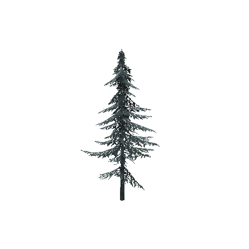 ConiferTreeSmall03_