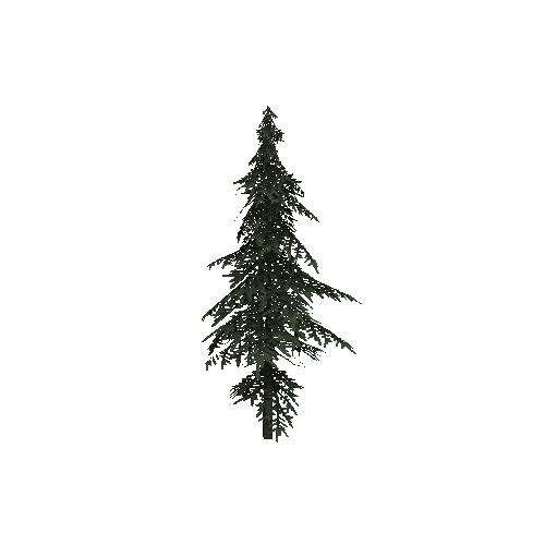 ConiferTreeSmall04LOD1