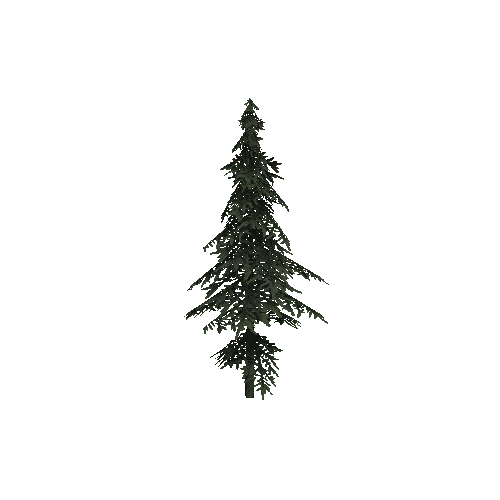 ConiferTreeSmall04LOD2