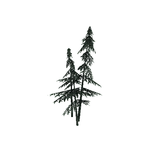 ConiferTreesGroup01LOD3