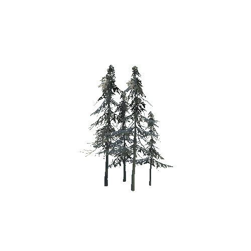 ConiferTreesGroup02_